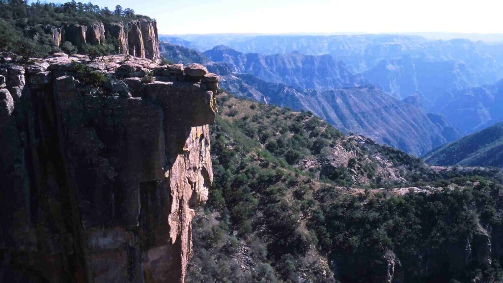 mexican facts cooper canyon