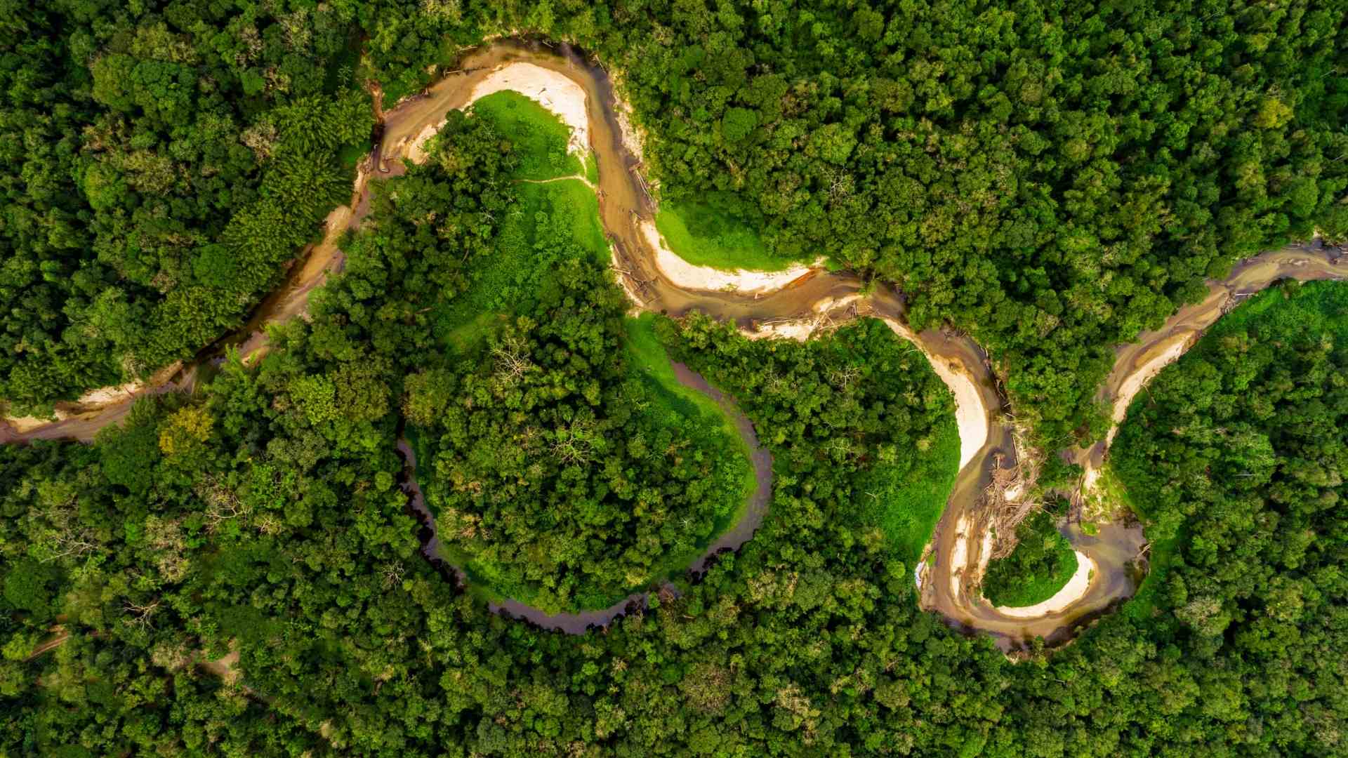 Facts about amazon rainforest