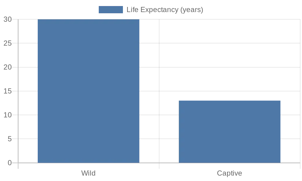 life expectancy of dolphins