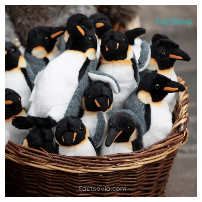 cute penguins